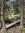 Hohes_Venn_Wandern_Runde_Mont_Rigi_05©J_Garcia