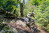 MTB_Tour_6_Montenau_138©ostbelgien.eu_Dennis_Stratmann
