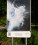 Ravel'Art Raeren(c)jci_Peter Ortmann (11)