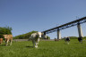 Moresnet_Moresneter_Bruecke_01(c)Grenzrouten