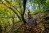 MTB_Tour_4_Buetgenbach_Nidrum_Am_Paradies©www.ostbelgien.eu_Dennis_Stratmann_09