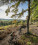 mtb-hertogenwald-091-c-www.ostbelgien.eu-dennis-stratmann-hr