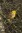Herbstwanderung rund um Born (c) Aves Ostkantone