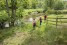 wolfsbusch-h-udo-bernhart-interreg-efre-93-