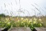 kelmis-naturschutzgebiet-altenberg-12-c-oliver-raatz-interreg-efre 