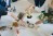17eat-the-rainbow-process-documentation-2024.-photo-lola-pertsowsky-courtesy-ikob