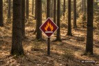 Brandgefahr-Trockenheit-AI generated