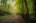 Venntrilogie_Abschnitt_Ia_015(c)Chris_Eyre_Walker_Interreg_EFRE