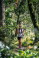 Buetgenbach_Trailrunning_023©Dennis_Stratmann