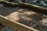 wolfsbusch-h-udo-bernhart-interreg-efre-52-