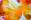 titelbildtanya-klocke-aka-hasengold-2400x1200