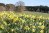 Manderfeld_Igelmonder_Hof_01(c)ostbelgien.eu