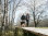 Hohes_Venn_Polleur-Venn_Wandern_Hund_02©Chris_Eyre-Walker