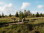 Hohes_Venn_Kids_on_Tour_Baraque_Michel_Familiewanderung_01©Chris_Eyre-Walker