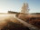 Hohes_Venn_Brackvenn_Wandern_08©Chris_Eyre-Walker