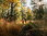 Hohes_Venn_Drossart_Wandern_05©Chris_Eyre-Walker
