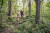 Buetgenbach_Trailrunning_blau_rot_schwarz_03©Dennis_Stratmann
