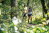 Buetgenbach_Trailrunning_16©Dennis_Stratmann