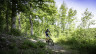 Mountainbike (c)ostbelgien.eu_Dehaspe