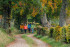 Venntrilogie_Abschnitt_IIIb_175(c)Chris_Eyre_Walker_Interreg_EFRE