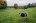 Venntrilogie_Abschnitt_I-III207(c)Chris_Eyre_Walker_Interreg_EFRE