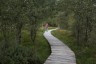 Hohes Venn Wanderer 13(c)HIKE&trekking Magazine Lex van den Bosch