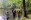 Eupen_Waldbaden_02©TI_Eupen