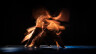 260617_TanzArt 2026 credit Peter Ortmann