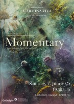 MOMENTARYPlakat CV (3)