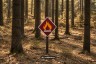 Brandgefahr-Trockenheit-AI generated-2