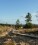 Hohes_Venn_Fagne_de_Fraineu_01©Chris Eyre-Walker