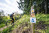 MTB_Tour_7_StVith_06_Emmelser_Heide©ostbelgien.eu_Dennis Stratmann.jpg