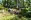 Waldbaden - Shinrin Yoku (c) Haus Ternell