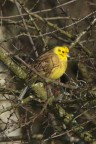 2022-11-20 Herbstwanderung rund um Born