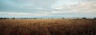 Hohes_Venn_Signal_de_Botrange_01_Panorama©Chris_Eyre-Walker
