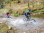 Ovifat_E-Scooter_14(c)Marie-Thérèse_Lejoly (14)