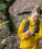 Buetgenbach_Trailrunning_128©Dennis_Stratmmann