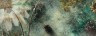Carmina Viva Momentary - header