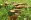 hexenring-4683784-1280-1-