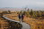 Venntrilogie_Abschnitt_2a_004_Hohes_Venn(c)Chris_Eyre_Walker_Interreg_EFRE