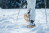 Schneeschuhwandern_Ostbelgien_20(c)Dominik_Ketz_ostbelgien.eu