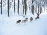 Rodt Schlittenhunderennen 05(c)Media Planning