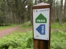 Montenau_Trailrunning_05_TAO