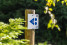  MTB_Tour 1_Eupen_Hertogenwald_Beschilderung 004_RET(c)www.ostbelgien.eu_Dennis_Stratmann 