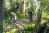 MTB_Tour_6_Montenau_90©ostbelgien.eu_Dennis_Stratmann