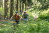 MTB_Tour_7_StVith_04_Dickvenn©ostbelgien.eu_Dennis Stratmann.jpg