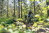MTB_Tour_6_Montenau_81©ostbelgien.eu_Dennis_Stratmann