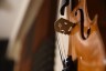 magstd-violin-5818267 © pixabay