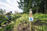 MTB_Tour_7_StVith_50©ostbelgien.eu_Dennis Stratmann