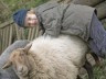 raphaelschaf (c) natur-aachen.de